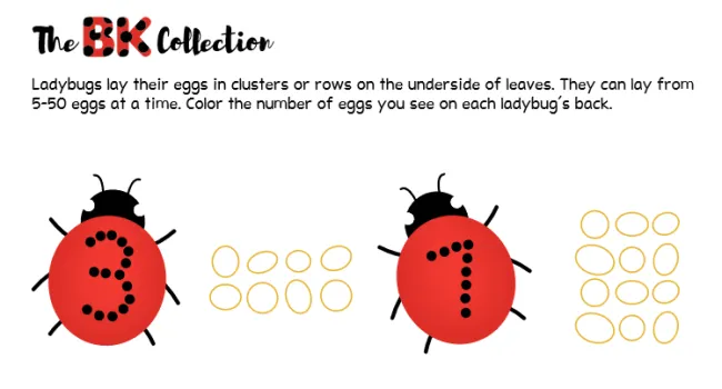 Ladybug Count the Eggs Activity