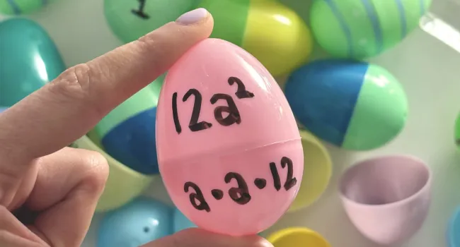 Matching Math Eggs (algebraic equations)