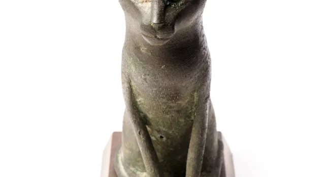 Ancient Egyptian Mummified Cat Case | Curiosity Trek!