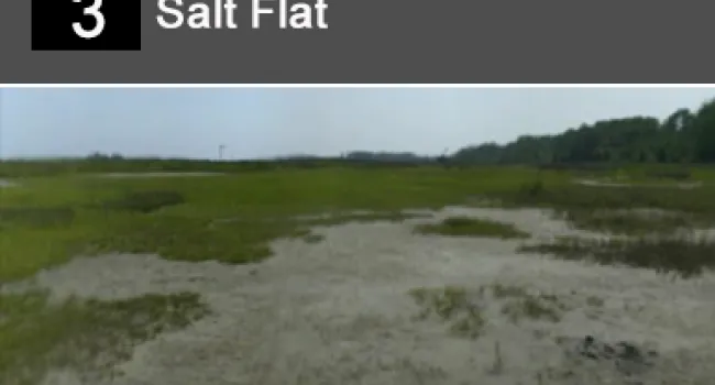 
            <div>03. Salt Flat</div>
      