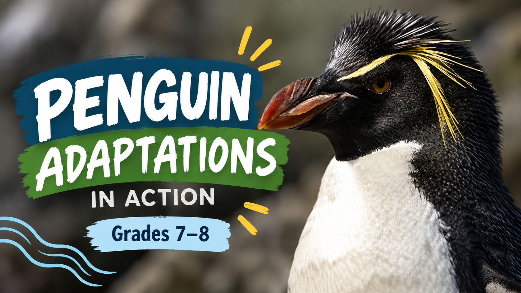 penguin and penguin adaptations sign