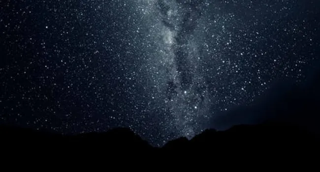 What's in a Word? Vocabulary Lesson using Night