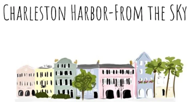 Charleston Harbor Worksheet | From the Sky