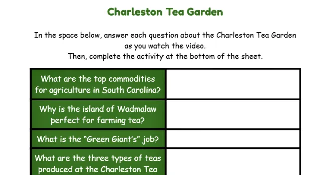 Charleston Tea Garden Video Questions and Activity | From the Sky