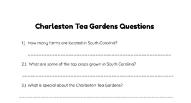 Charleston Tea Garden Video Questions | From the Sky