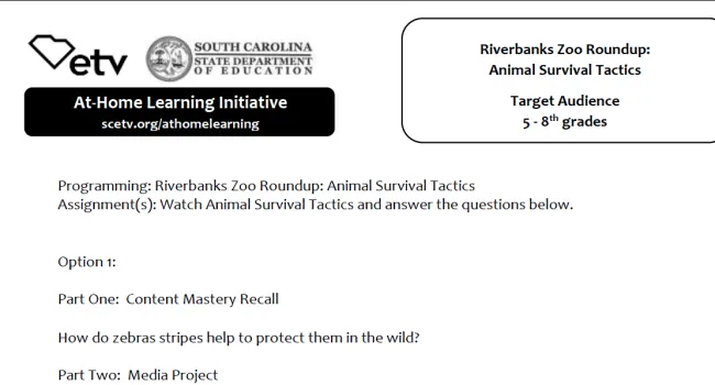 Riverbanks Roundup: Animal Survival Tactics Learning Activity