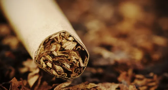 
            <div>Take Down Tobacco - Day of Action</div>
      