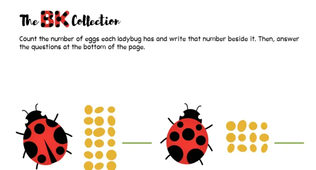 Ladybug Worksheet Most and Least