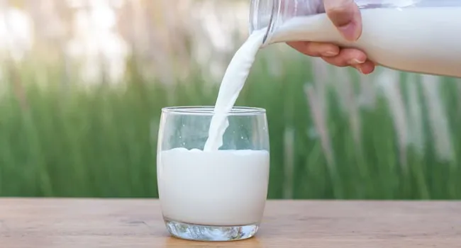 Milk Makes Bones Healthy