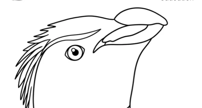 Rockhopper Penguin Coloring Sheet