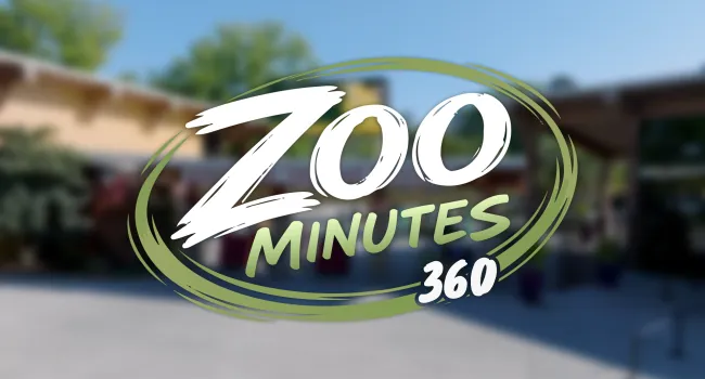 Series Zoo Minutes 360