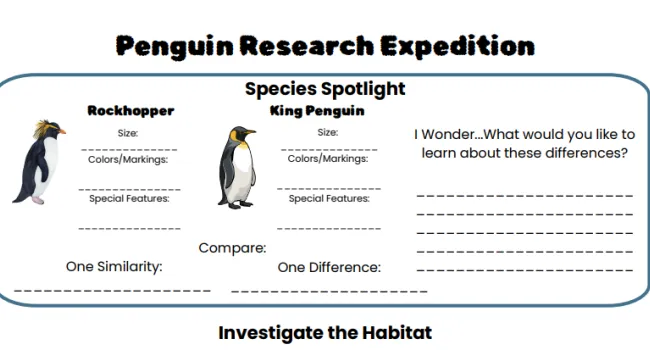 Penguin Research Guide 3-5
