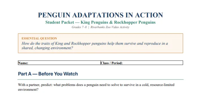 Penguin Adaptations in Action (Grades 7 & 8) Student Handout