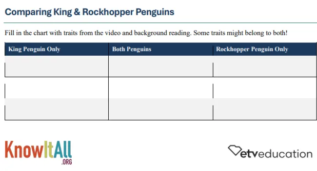 Comparing Two Amazing Penguins Handout (Grades 3-5)