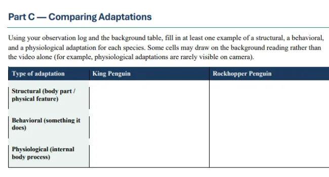 Penguin Behavior & Adaptations (9-12) - Student Packet