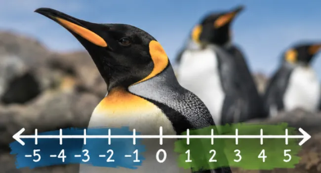 Penguin Math: Integers
