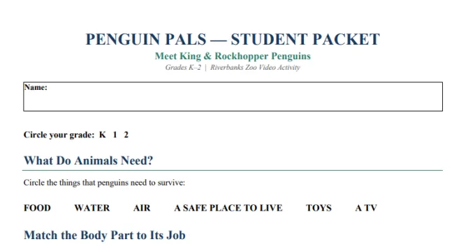 Penguin Pals - Meet King & Rockhopper Penguins (K-2)