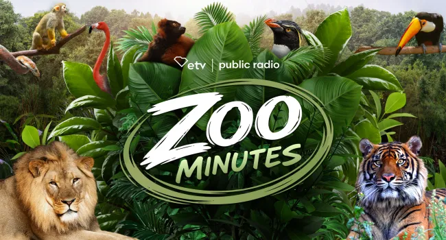 Zoo Minutes logo with zoo animals and foliage 