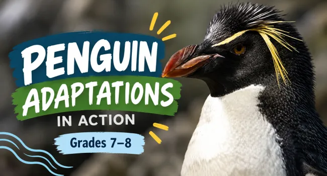 Penguin Adaptations in Action (Grades 7 & 8)