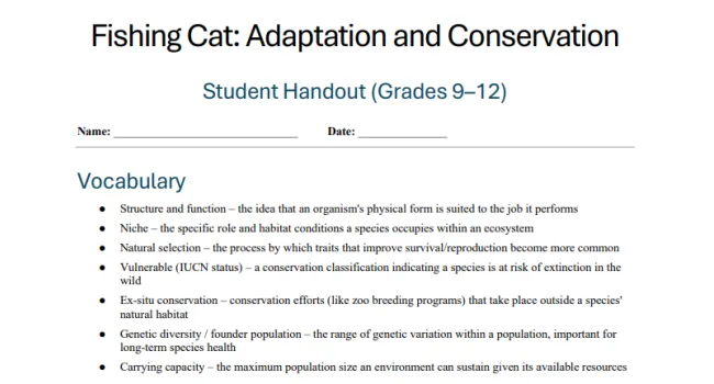 Fishing Cat: Adaptation and Conservation Student Handout (Grades 9–12)