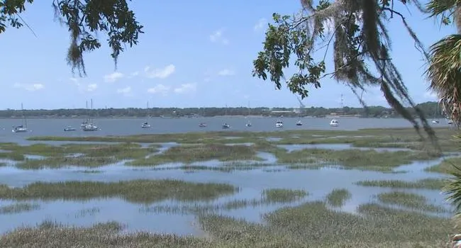 Local Impacts of Climate Change in Beaufort, SC | Sea Change