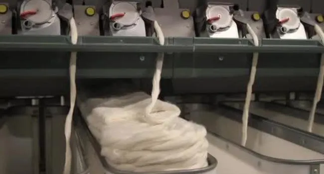 Inside a Yarn Factory  | ETV Shorts