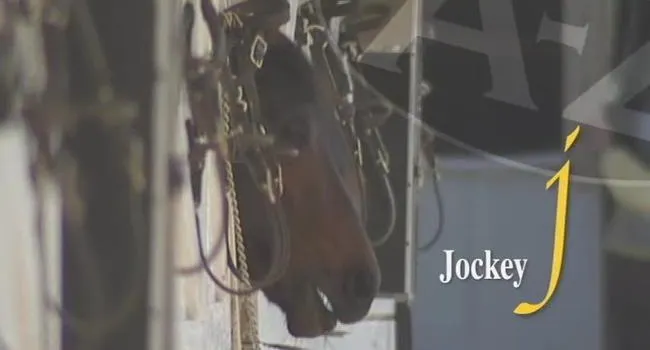 J Is for Jockey | South Carolina from A to Z