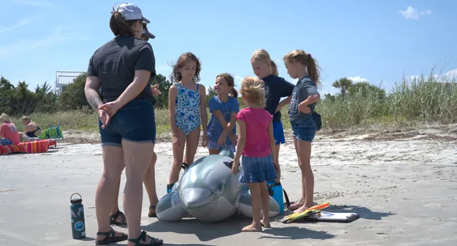 Against the Tide - Charleston’s Marine Mammal Response Team | Palmetto Scene