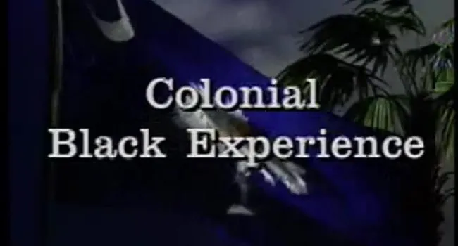 Lesson 5 - Colonial Black Experience | Conversations on S.C. History
