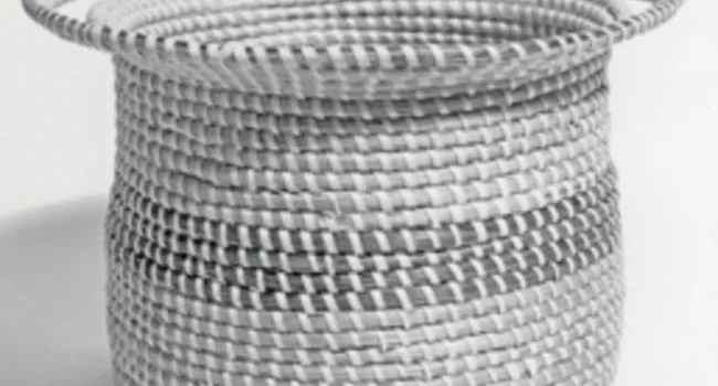 Basketmaking Materials  | Digital Traditions
 - Episode 1