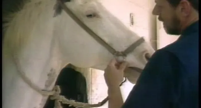 Jeff Greer, Horse Dentist | 27:Fifty (1992)