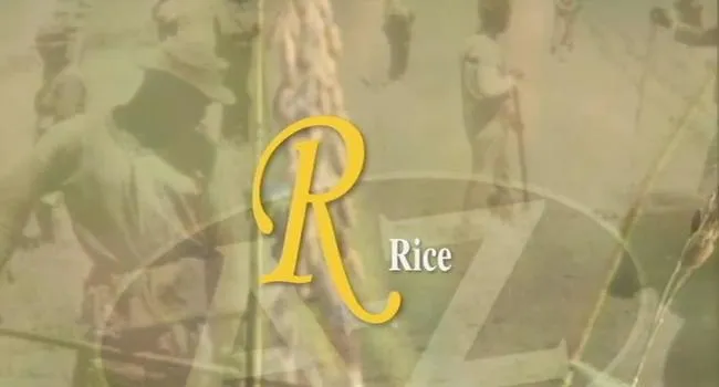 R Is for Rice | South Carolina from A to Z