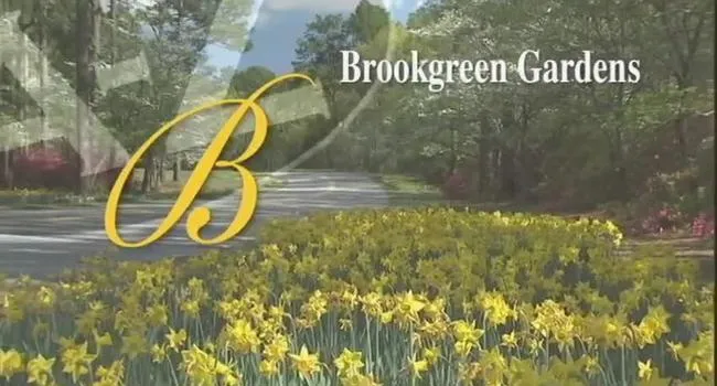 B Is for Brookgreen Gardens | South Carolina from A to Z