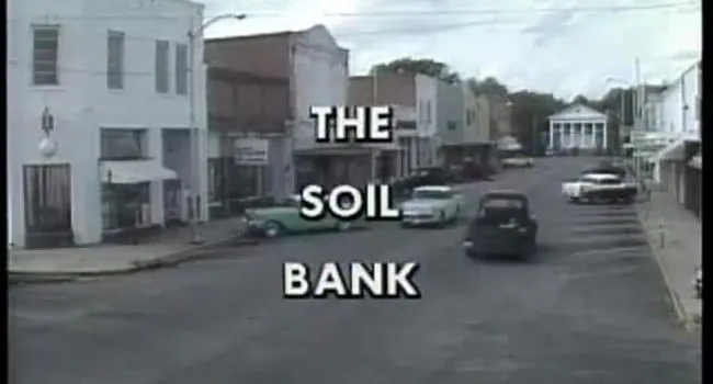 Soil Bank | Palmetto Special