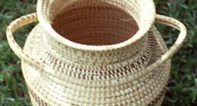 Drying Materials for Baskets | Digital Traditions
 - Episode 3