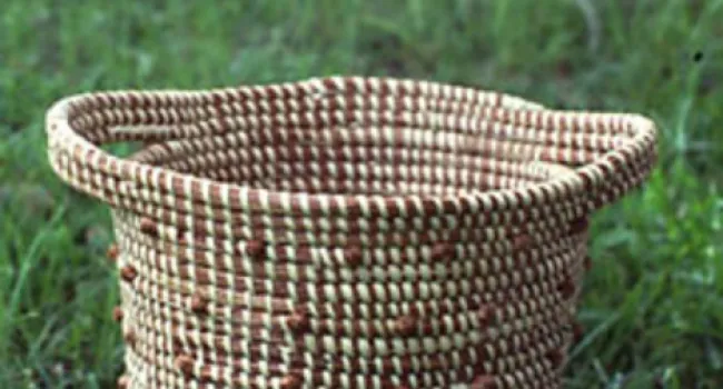 Drying Materials for Baskets | Digital Traditions
