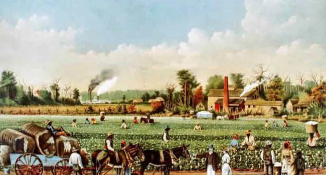 Cotton's Continued Success After The Civil War  | Walter Edgar's Journal
 - Episode 7