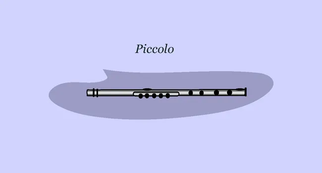 Woodwind Instruments: Piccolo | Artopia