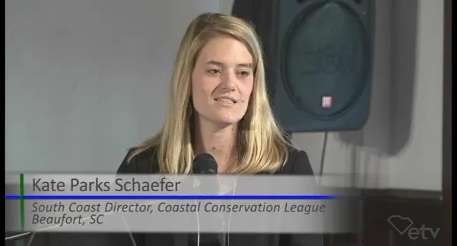 Beaufort Main Panel, Part 2 - Kate Parks Schaefer | Sea Change