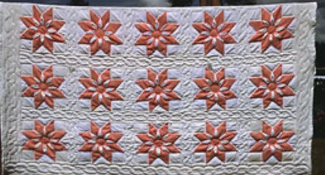 Quilting -2 | Digital Traditions
 - Episode 7