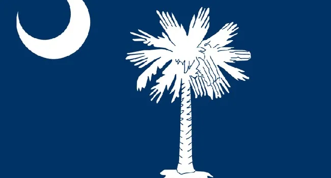 The Crescent on South Carolina's Flag: Is it a Moon or Not? | South Carolina Focus
