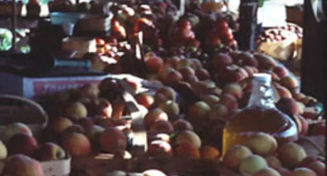 Selling at a Peach Stand | Digital Traditions