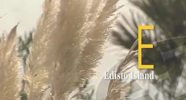 E Is for Edisto Beach | South Carolina from A to Z