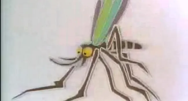Por que los Mosquitos Zumban en los Oidos de la Gente | Foreign Language Scholastic Series