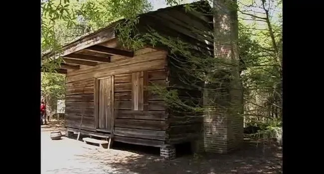 Hewn Timber Cabins | Pee Dee Explorer