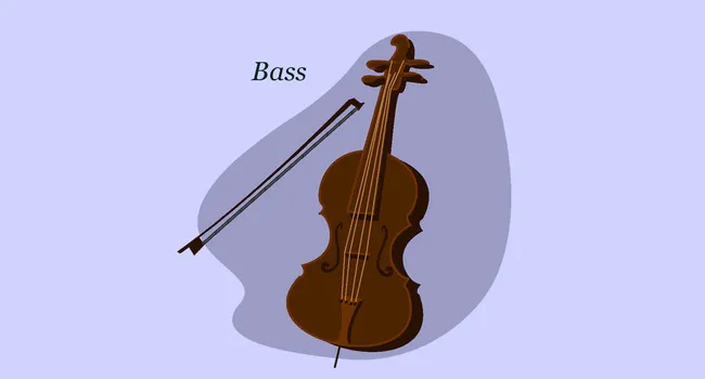 String Instruments: Bass  | Artopia