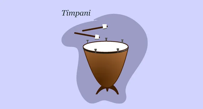 Percussion Instruments: Timpani | Artopia
