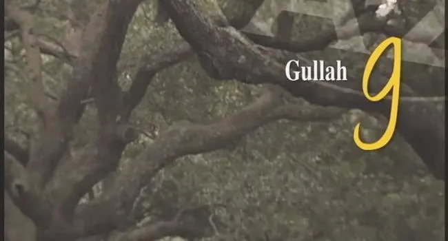 G Is for Gullah | South Carolina from A to Z