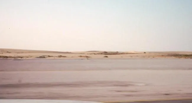 Tankbusters: Life in the Desert