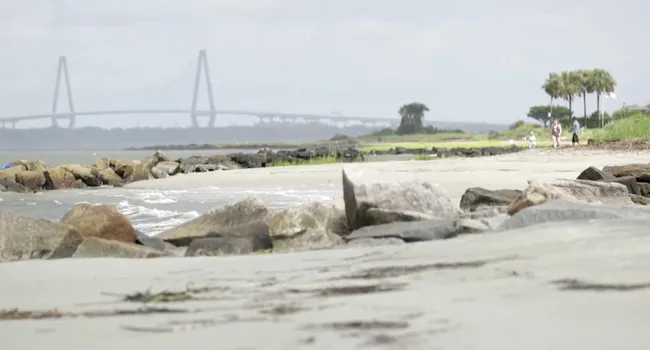 Local Impacts of Climate Change in Charleston, SC | Sea Change